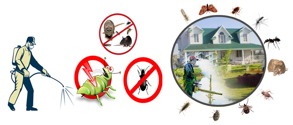 Accurate Fumigation
